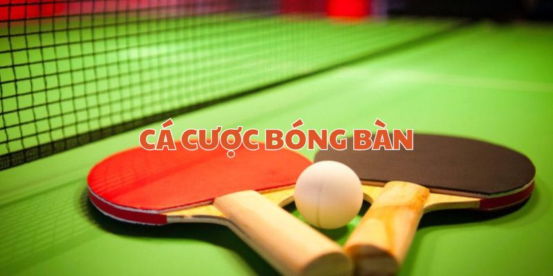 Cá cược bóng bàn 188BET đỉnh cao mô hình đặt cược thể thao 2024