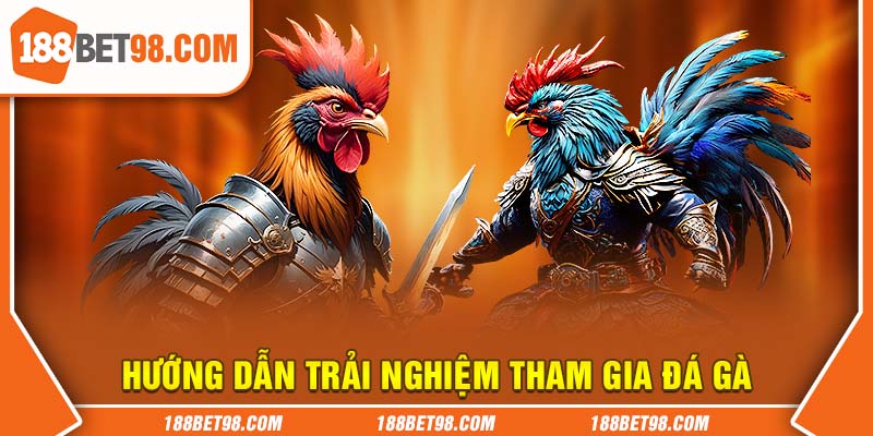 Hướng dẫn trải nghiệm đá gà tại nhà cái 188BET