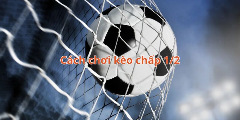 Kèo chấp 0.5 trong bóng đá rất dễ để tiếp cận