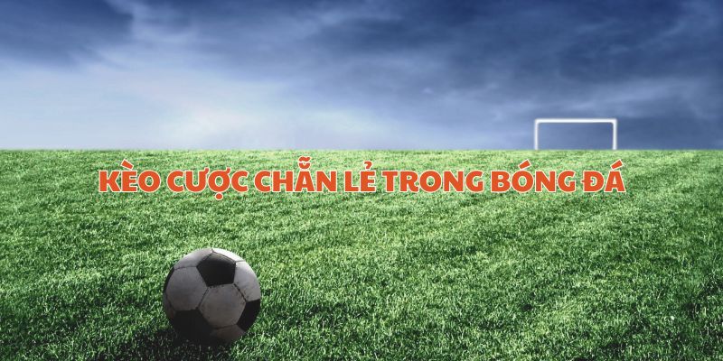 Kèo cược chẳn lẽ trong bóng đá và kiến thức bạn phải biết